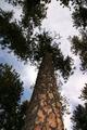 Devils Tower 20