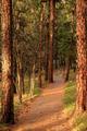 Devils Tower 21