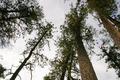 Devils Tower 22