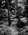 Devils Tower 25