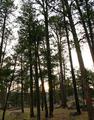 Devils Tower 27