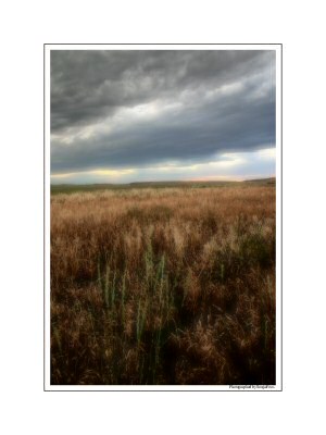 Wide Open Spaces 2