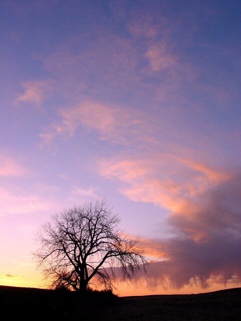 Sunset 4