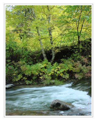 Spearfish Canyon Creek