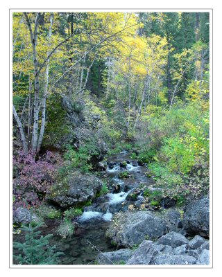 Spearfish Canyon Creek