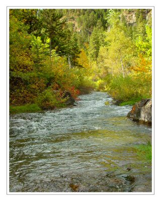 Spearfish Canyon Creek