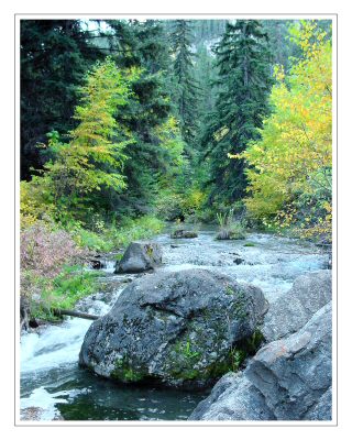 Spearfish Canyon Creek
