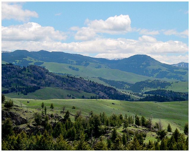 Yellowstone National Park