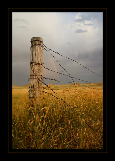 woodenfencewire7.jpg