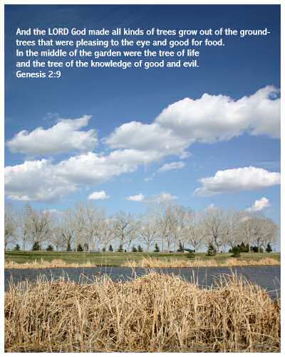 Genesis 2:9