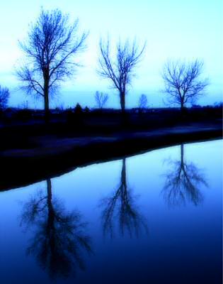 Dreamy Night