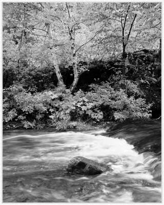 Black and White River