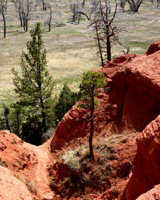 Devils Tower 6