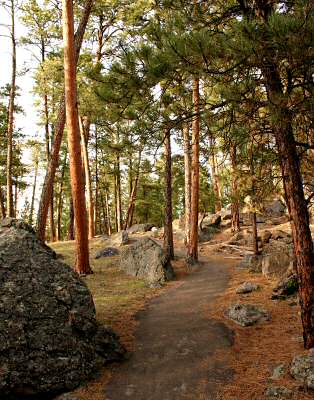 Devils Tower 10