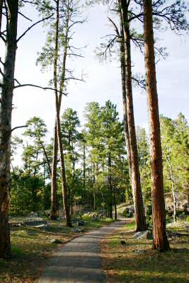 Devils Tower 13