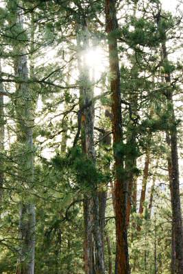 Devils Tower 14
