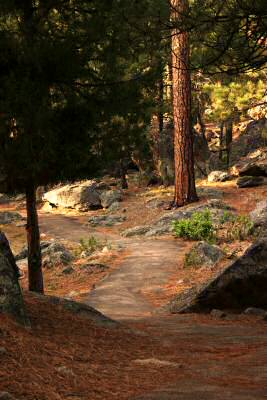 Devils Tower 16