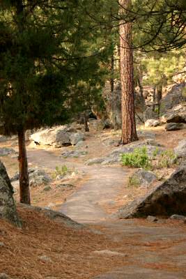 Devils Tower 17