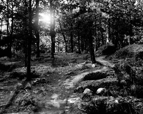 Devils Tower 18 b/w