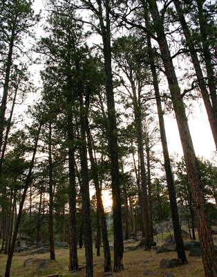 Devils Tower 27