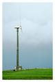 Sheep & Windmills II