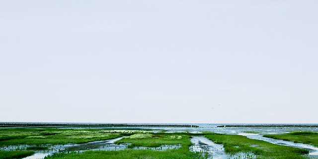 Uithuizer Wad