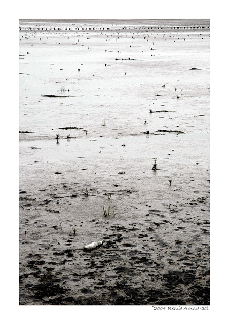 mud06