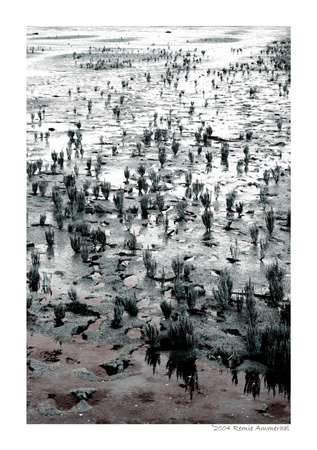 mud10