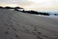 Footsteps