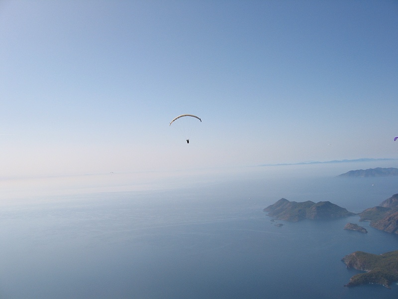 Flying Out To Sea