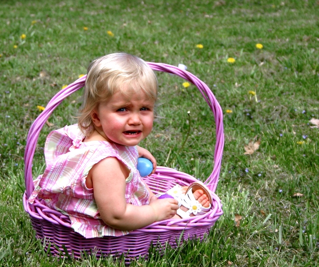 basket shot for dpc 5585.jpg