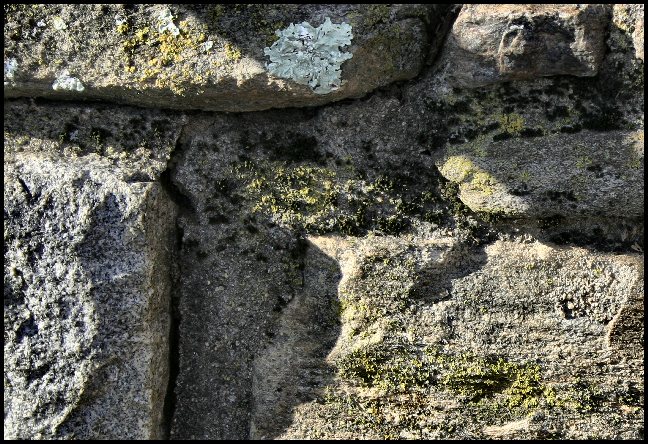 A Wall (5)