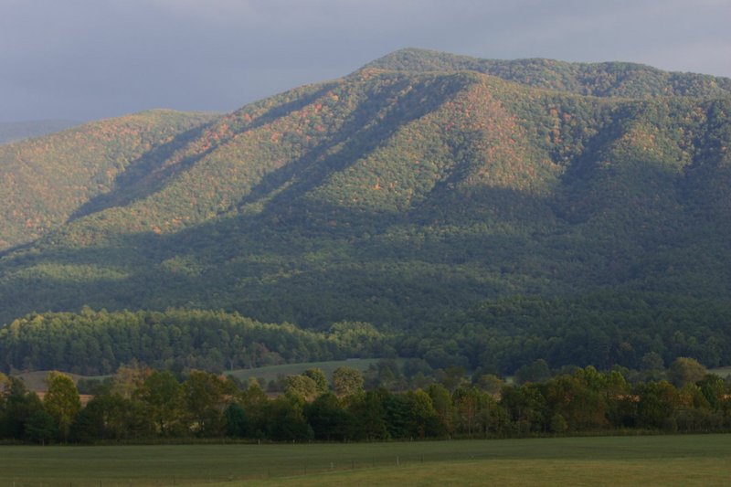 Img_2712 original.jpg