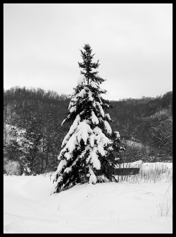 Snow