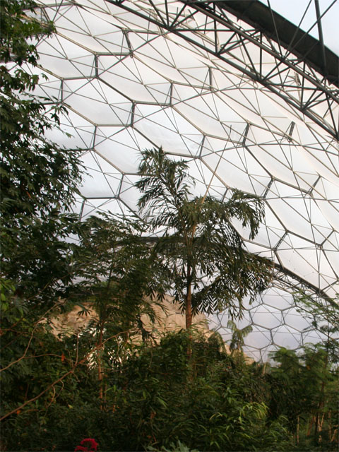 dome1.jpg