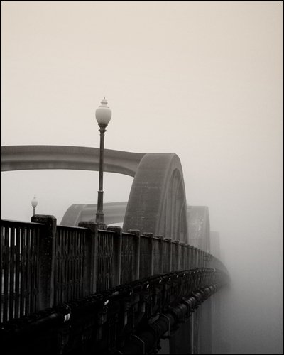 The Mist