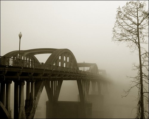 In The Mist