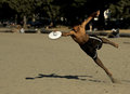 The Catch