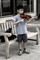 Young Violinist