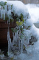 Frozen in Time