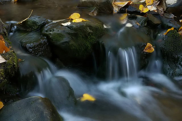 Autumn Falls