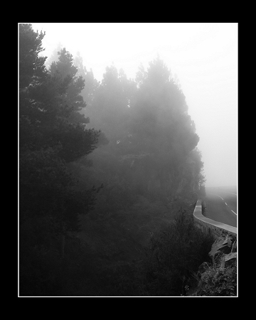 Mist
