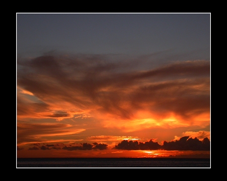 Orange II