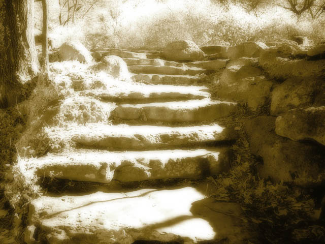 Steps