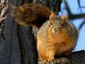 IMG_4223p.jpg