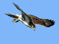 IMG_9130po.jpg