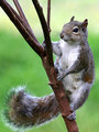 IMG_1046p.jpg