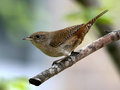 IMG_1270p.jpg