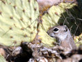 IMG_3053p.jpg