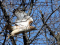IMG_2167p.jpg